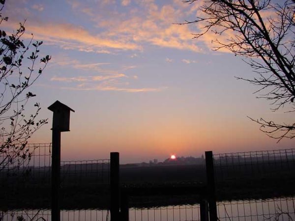 Een zonsopgang, gezien vanuit de achtertuin van mijn ouders.
