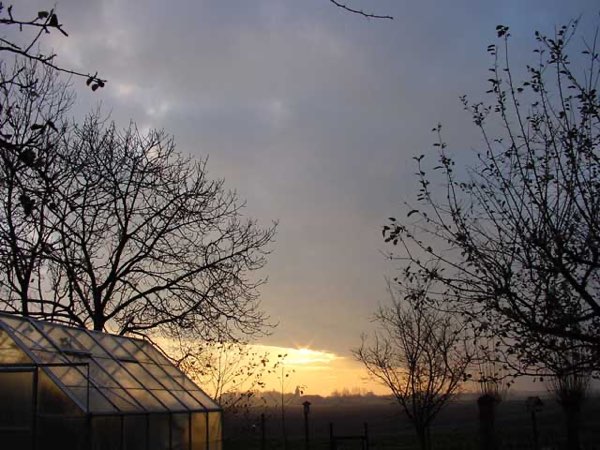 Een zonsopgang, gezien vanuit de achtertuin van mijn ouders.