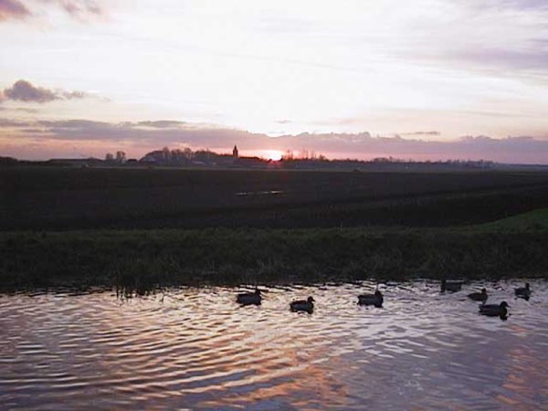 Een zonsopgang, gezien vanuit de achtertuin van mijn ouders.